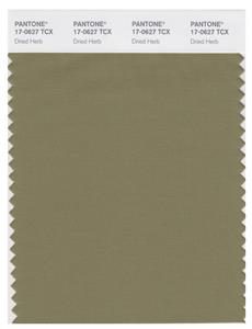 Pantone Smart 17-0627 TCX Color Swatch Card | Dried Herb 