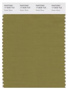 Pantone Smart 17-0636 TCX Color Swatch Card | Green Moss 