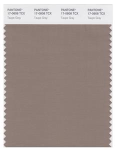 Pantone Smart 17-0808 TCX Color Swatch Card | Taupe Gray 