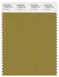 Pantone Smart 17-0836 TCX Color Swatch Card | Ecru Olive 