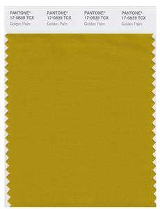 Pantone Smart 17-0839 TCX Color Swatch Card | Golden palm 