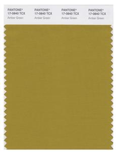 Pantone Smart 17-0840 TCX Color Swatch Card | Amber Green 