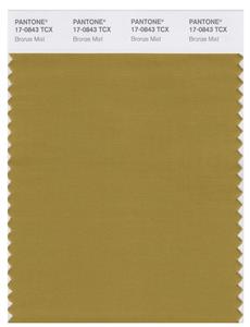 Pantone Smart 17-0843 TCX Color Swatch Card | Bronze Mist 