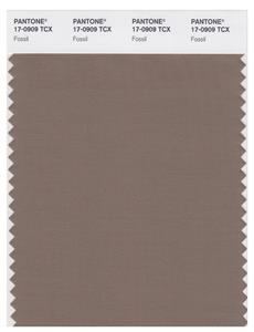 Pantone Smart 17-0909 TCX Color Swatch Card | Fossil 