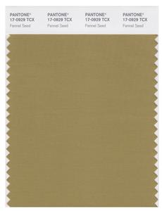 Pantone Smart 17-0929 TCX Color Swatch Card | Fennel Seed 