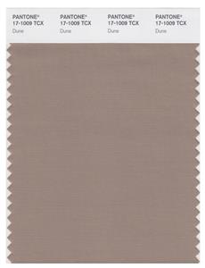 Pantone Smart 17-1009 TCX Color Swatch Card | Dune 