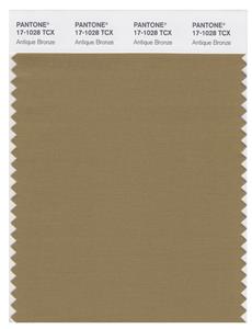 Pantone Smart 17-1028 TCX Color Swatch Card | Antique Bronze 