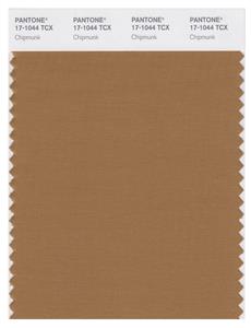 Pantone Smart 17-1044 TCX Color Swatch Card | Chipmunk 