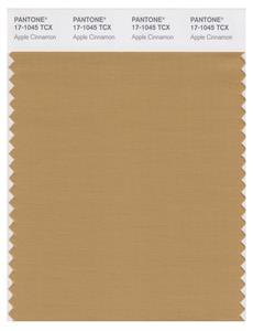 Pantone Smart 17-1045 TCX Color Swatch Card | Apple Cinnamon 