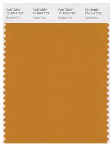 Pantone Smart 17-1046 TCX Color Swatch Card | Golden Oak 