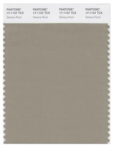 Pantone Smart 17-1107 TCX Color Swatch Card | Seneca Rock 