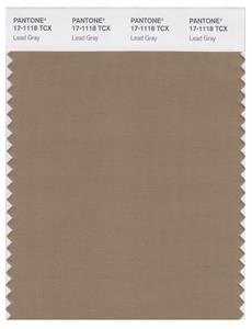 Pantone Smart 17-1118 TCX Color Swatch Card | Lead Gray 