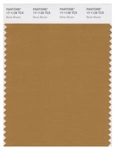 Pantone Smart 17-1128 TCX Color Swatch Card | Bone Brown 