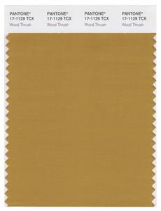 Pantone Smart 17-1129 TCX Color Swatch Card | Wood Thrush 