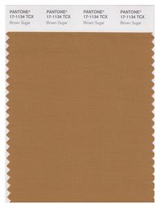 Pantone Smart 17-1134 TCX Color Swatch Card | Brown Sugar 