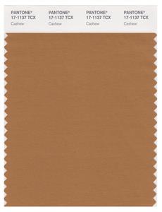 Pantone Smart 17-1137 TCX Color Swatch Card | Cashew 