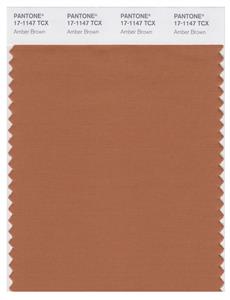 Pantone Smart 17-1147 TCX Color Swatch Card | Amber Brown 