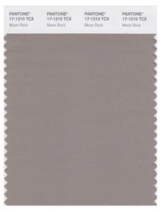 Pantone Smart 17-1210 TCX Color Swatch Card | Moon Rock 