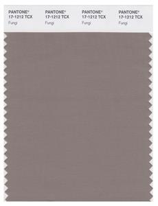 Pantone Smart 17-1212 TCX Color Swatch Card | Fungi 