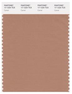 Pantone Smart 17-1224 TCX Color Swatch Card | Camel 