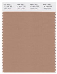 Pantone Smart 17-1226 TCX Color Swatch Card | Tawny Brown 