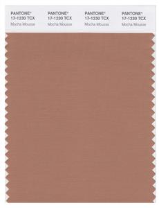 Pantone Smart 17-1230 TCX Color Swatch Card | Mocha Mousse 