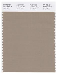 Pantone Smart 17-1312 TCX Color Swatch Card | Silver Mink 