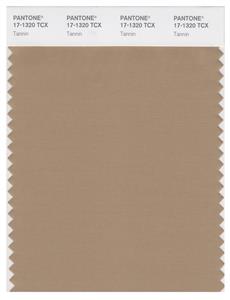 Pantone Smart 17-1320 TCX Color Swatch Card | Tannin 