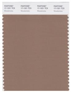 Pantone Smart 17-1321 TCX Color Swatch Card | Woodsmoke 