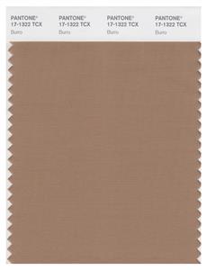 Pantone Smart 17-1322 TCX Color Swatch Card | Burro 