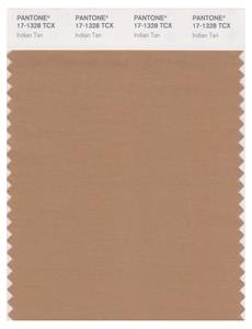 Pantone Smart 17-1328 TCX Color Swatch Card | Indian Tan 