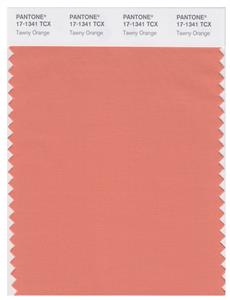 Pantone Smart 17-1341 TCX Color Swatch Card | Tawny Orange 