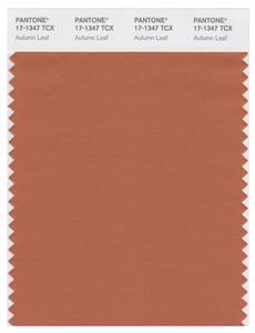 Pantone Smart 17-1347 TCX Color Swatch Card | Autumn Leaf 