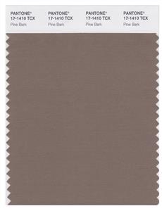 Pantone Smart 17-1410 TCX Color Swatch Card | Pine Bark 