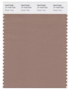 Pantone Smart 17-1418 TCX Color Swatch Card | Ginger Stap 