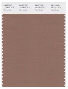 Pantone Smart 17-1422 TCX Color Swatch Card | Raw Umber 