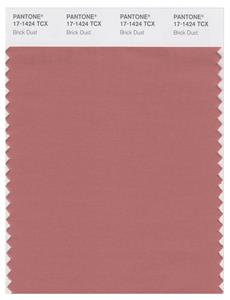 Pantone Smart 17-1424 TCX Color Swatch Card | Brick Dust 