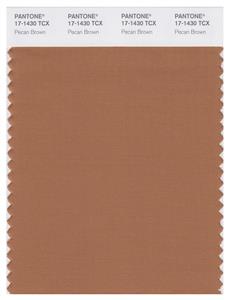 Pantone Smart 17-1430 TCX Color Swatch Card | Pecan Brown 