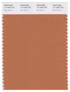 Pantone Smart 17-1436 TCX Color Swatch Card | Raw Sienna 