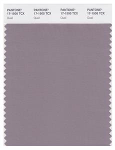 Pantone Smart 17-1505 TCX Color Swatch Card | Quail 