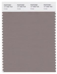 Pantone Smart 17-1506 TCX Color Swatch Card | Cinder 