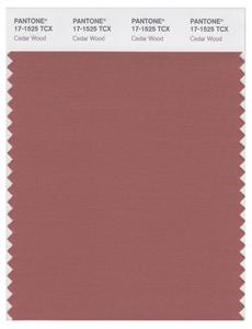 Pantone Smart 17-1525 TCX Color Swatch Card | Cedar Wood 