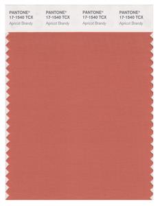 Pantone Smart 17-1540 TCX Swatch Card | Apricot Brandy 