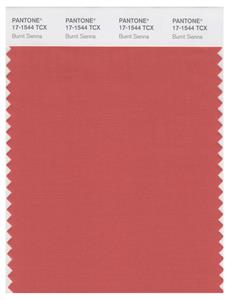 Pantone Smart 17-1544 TCX Color Swatch Card | Burnt Sienna 