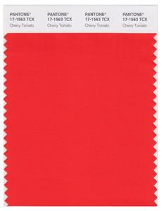 Pantone Smart 17-1563 TCX Color Swatch Card | Cherry Tomato 