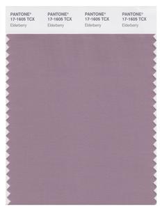 Pantone Smart 17-1605 TCX Color Swatch Card | Elderberry 