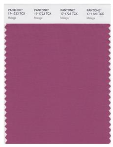 Pantone Smart 17-1723 TCX Color Swatch Card | Malaga 