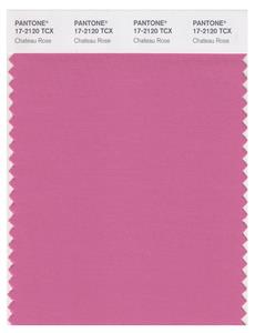 Pantone Smart 17-2120 TCX Color Swatch Card | Chateau Rose 