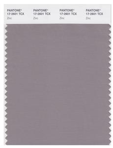 Pantone Smart 17-2601 TCX Color Swatch Card | Zinc 