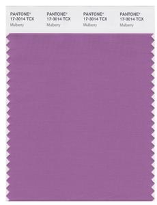 Pantone Smart 17-3014 TCX Color Swatch Card | Mulberry 